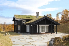 home-bud-bialystok-domy-w-systemie-szkieletowym-skandynawskie-rozne-z-norwegii (3)